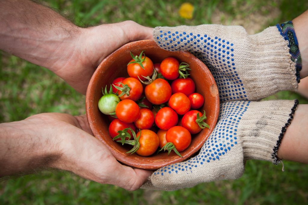 Alimentos orgânicos