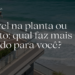 Imóvel na planta ou pronto qual faz mais sentido para você