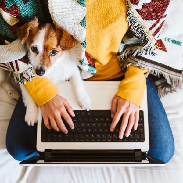 young woman working on laptop at home, sitting on the couch, wearing protective mask. Cute small dog besides. Stay home concept during coronavirus covid-2019